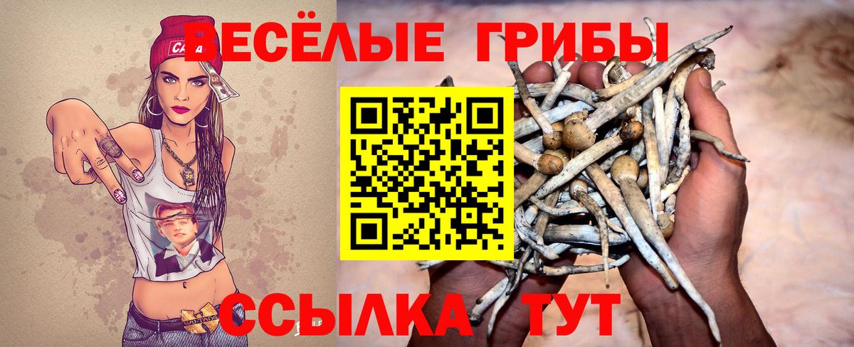 Галлюциногенные грибы MAGIC MUSHROOMS Кириши