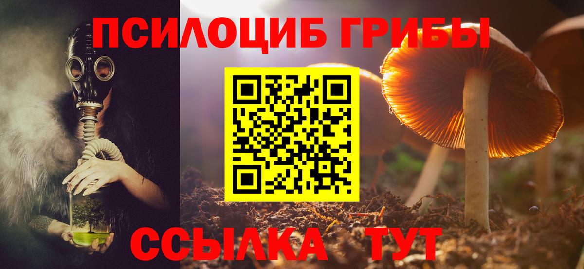 Кириши  Галлюциногенные грибы MAGIC MUSHROOMS  Вход с VPN 